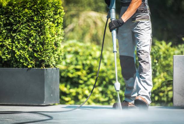 Best Animal Enclosure Cleaning  in La Homa, TX