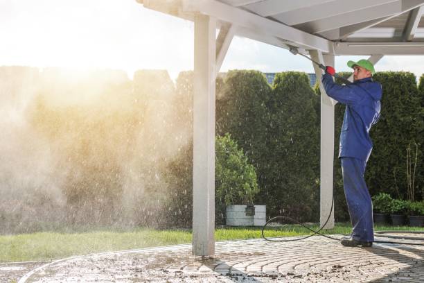 Best Fence Cleaning  in La Homa, TX