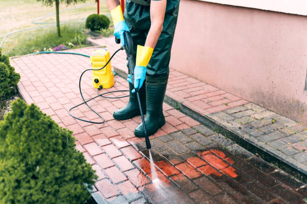 Best Pool Deck Cleaning  in La Homa, TX