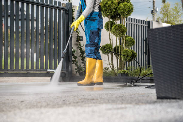 Best Patio and Deck Pressure Washing  in La Homa, TX