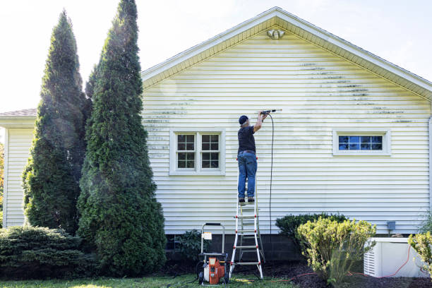 Best Driveway Pressure Washing  in La Homa, TX